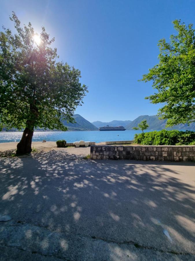 Studio On The Coast, With A View Of The Sunrise,Free We-Fi Kotor Eksteriør bilde