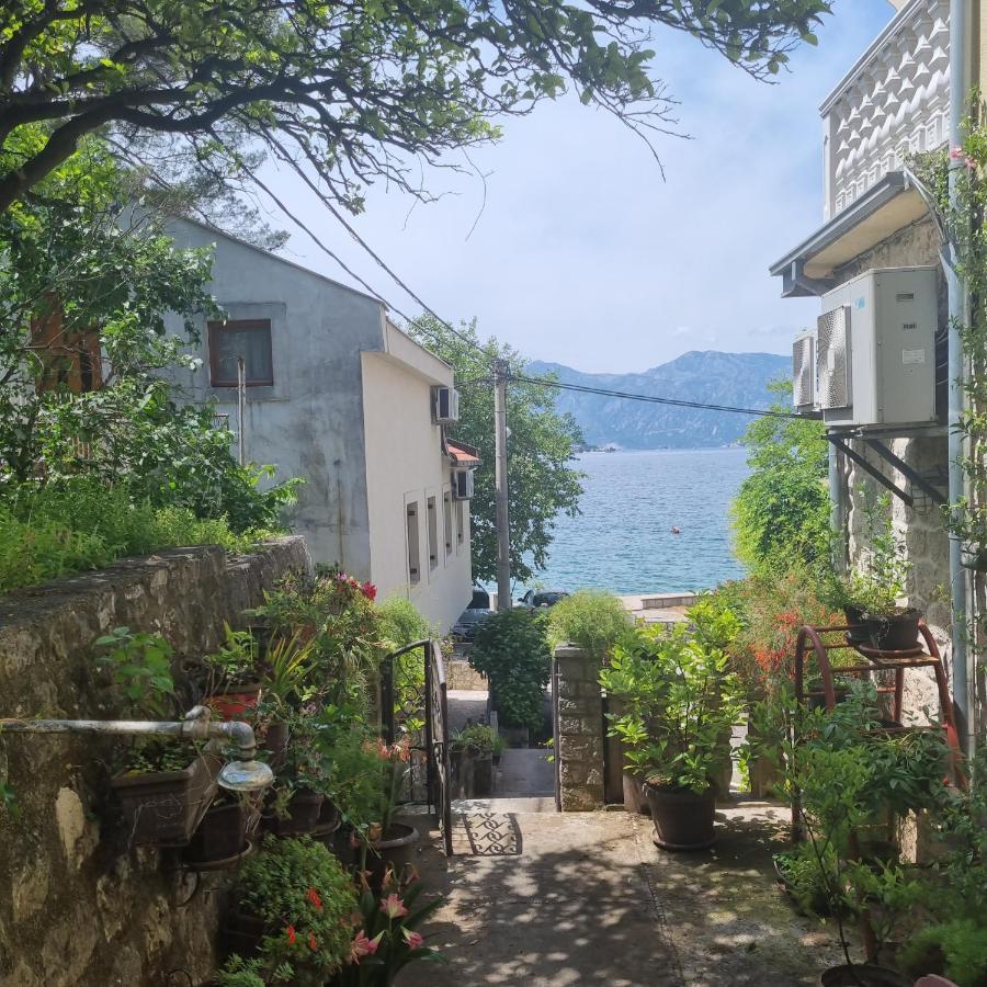 Studio On The Coast, With A View Of The Sunrise,Free We-Fi Kotor Eksteriør bilde