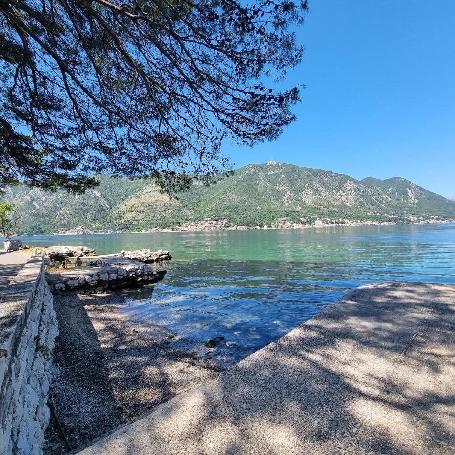 Studio On The Coast, With A View Of The Sunrise,Free We-Fi Kotor Eksteriør bilde
